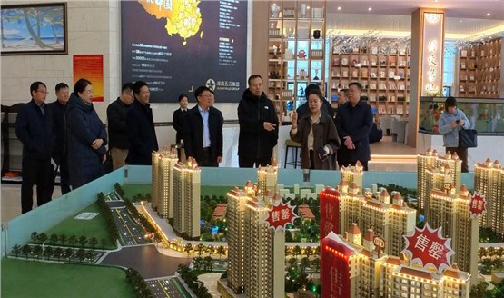 哈密市領導調(diào)研湘恒房地產(chǎn)項目